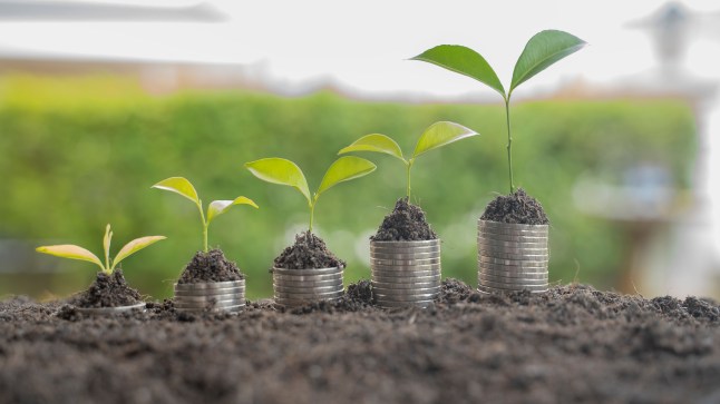 Step of coins stacks with tree growing on top, nature background, money, saving and investment or money planning concept.