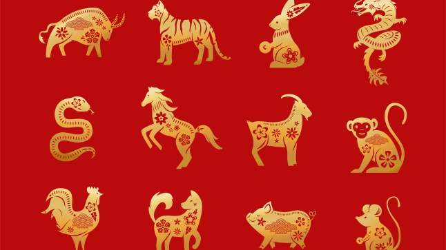 Chinese zodiac animals. Twelve asian new year golden characters set isolated on red background. Vector illustration of astrology calendar horoscope symbols