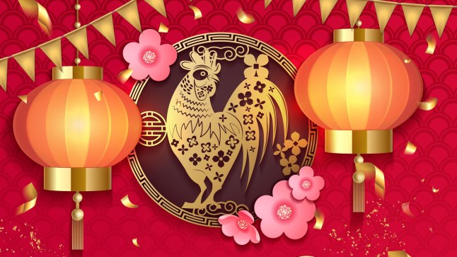 Happy New Year with chiken gold plate with sakura spring flower and Chinese lantern and garlands on red background, Paper design style, with hieroglyph rooster. Creative Chinese New Year. Vector