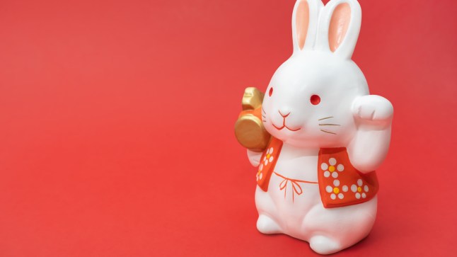 Happy New Year Chinese Rabbit 2023