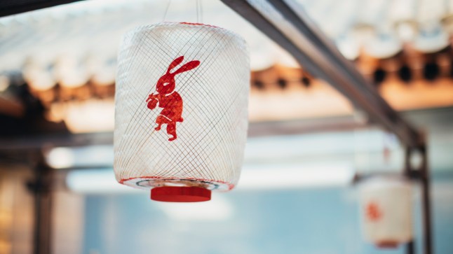 Chinese New Year Lantern