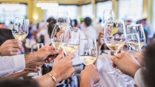 Toast with wine at a wedding