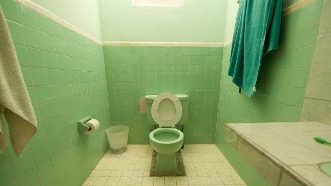 Green bathroom