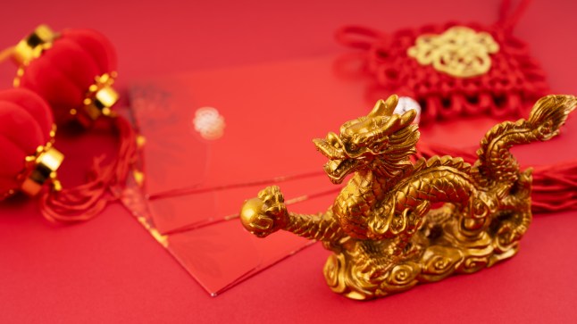 Year of The Dragon Concept