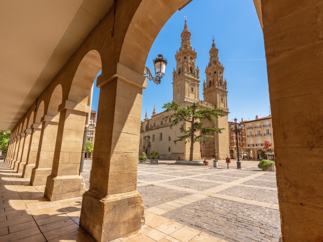 A view of Logroño Cathedral in La Rioja, Spain through an archway.