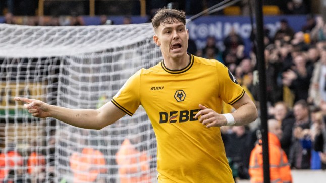 Wolverhampton Wanderers FC v AFC Bournemouth - Premier League
