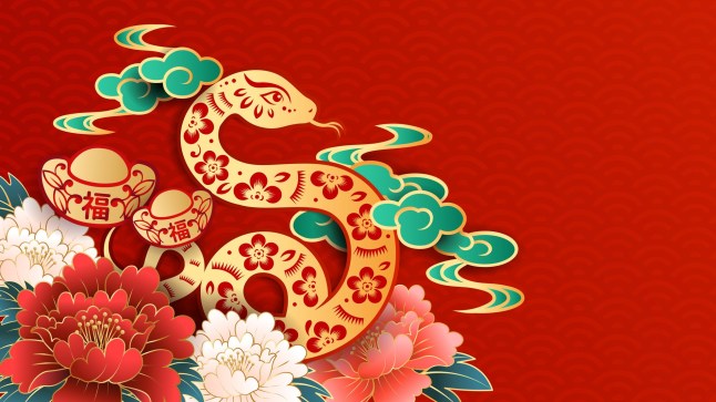 2025 Chinese New Year design featuring a golden snake, peonies, ingots, and traditional paper cut style in vector art. Translation: "Year of the Snake."