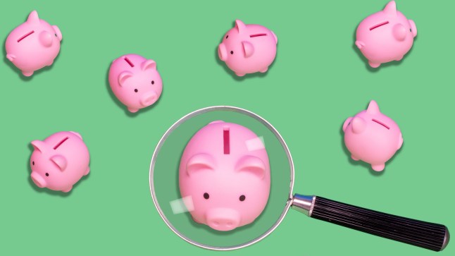 Saving scrutiny - Piggy bank under magnifying glass