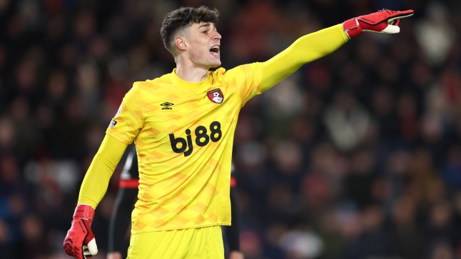 AFC Bournemouth v Brentford FC - Premier League