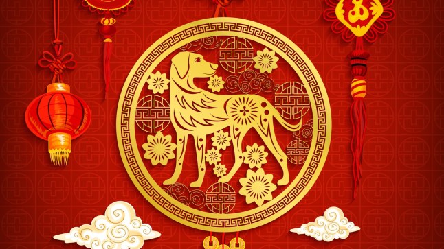 Chinese New Year lantern and dog greeting card