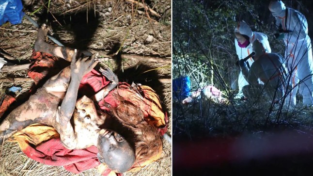 The sex doll on the left and the police hunt on the right