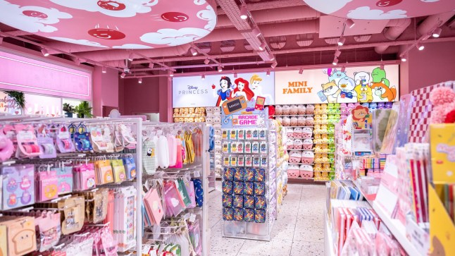 Lesser known high-street store with XYZ giving Primark a run for it's money https://minisoshop.co.uk/store-locator/store/view/key/8/