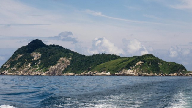 Queimada Grande island known as snake island home of poisonous snake Jararaca Ilhoa Bothrops insularis shore of Brazil.