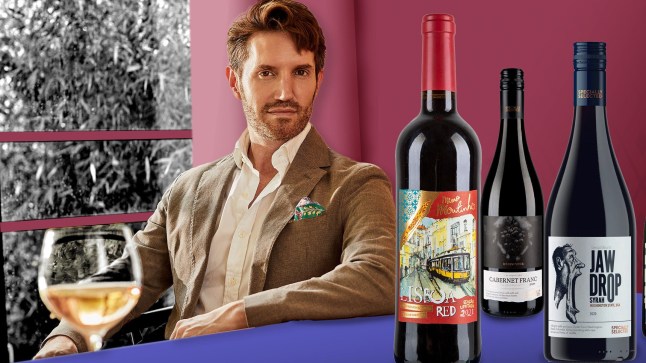 Rob Buckhaven and bottles of Aldi wine on a colourful background